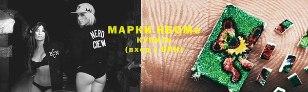 стаф Алзамай