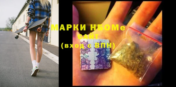 стаф Алзамай