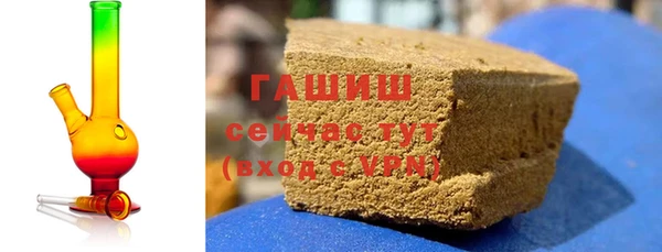 стаф Алзамай