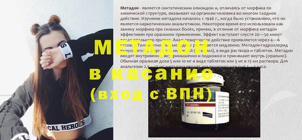 стаф Алзамай