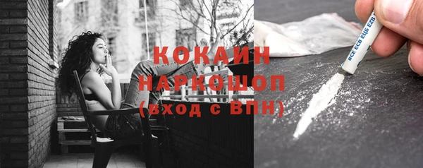 стаф Алзамай