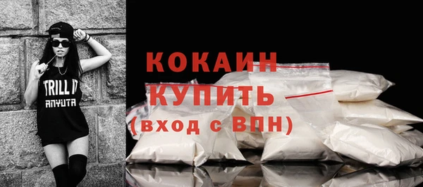 стаф Алзамай