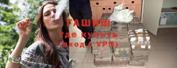 стаф Алзамай