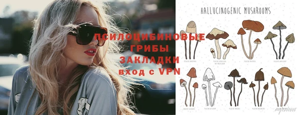ГАЛЛЮЦИНОГЕННЫЕ ГРИБЫ Мегион